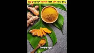 TOP 5 AMAZING FACT|| IN HINDI || ABOUT FOR RANDOM | knowledge #ajayfacts #facts #amazingfact #shorts