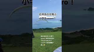 石垣島の空飛ぶ小学生cocoro！#石垣島 #石垣島パラグライダー #パラグライダー #スカイアドベンチャーうーまくぅ