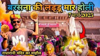 Laddu Maar Holi Barsana 2025 I राधारानी मंदिर मे लाखों भक्त बरसे लड्डू I Laddu Holi latest Video