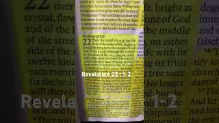 Revelation 22: 1-2 The River In Heaven #God #Jesus #HolySpirit #scripture #christian #scriptures