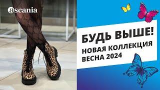 Будь выше! Платформа весной 2024.