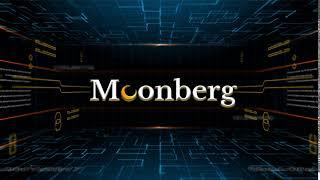 Moonberg Global