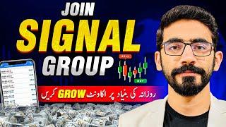 Make Daily Profits With Our Premium SIGNAL GROUP #Forex