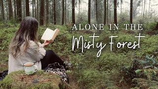 Read with me in the misty forest  English countryside, enchanted music and birds forest ambience