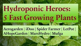 Top 5 Fast Growing Plants to Grow in Aerogarden | Hydroponics | Tips | Germination | Nutrients