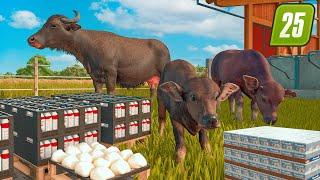 ANIMALE, FABRICI SI PRODUSE NOI IN FARMING SIMULATOR 25