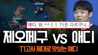 T1 멤버들에게 영혼까지 털리는 애디 ㄷㄷ | 롤 하이라이트 LCK T1