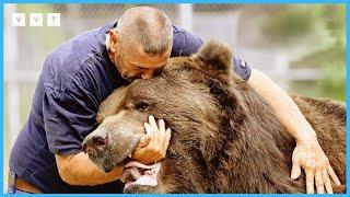 50 Animals Reunited With Owners After Years!#13 | Animals That Asked People for Help & Kindness!