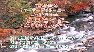 我只在乎你（時の流れに身をまかせ） 鄧麗君 Teresa Teng テレサ・テン