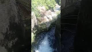 Tai Shui Hang Waterfalls #shorts #hikingtrail #hikingvlog #swimming #chill #nature