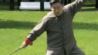 Power of Chen Taijiquan