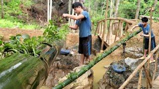 grow hydroponic vegetables with bamboo tubes -Building New Life. Ep. 36