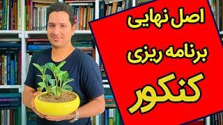 اصل نهایی برنامه ریزی