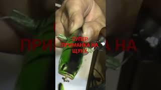 Супер приманка на Щуку! #простотакрыбалка #самоделкидлярыбалки #воблернащуку #whopperplopper