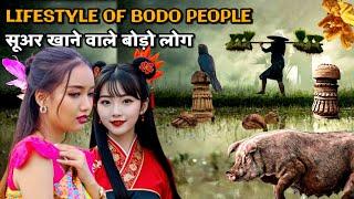 LIFESTYLE OF BODO PEOPLE | सूअर खाने वाले बोड़ो लोग | FACT KNOWLEDGE | BIOGRAPHY, DOCUMENTARY & HIST