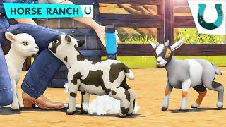 ranch animal day | FIRST REACTION/IMPRESSIONS of The Sims 4 Horse Ranch Gameplay