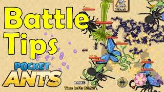 Battle Tips - Pocket Ants - Smart Daddy