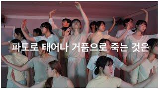 [#충주댄스학원 ] 박수주-파도로 태어나 거품으로 죽는 것은 | choreography by s_juhyeon