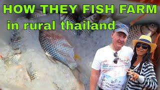 How they Fish Farm in Rural Thailand