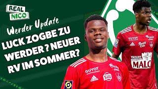 Luck Zogbe vom Champions League Club zu Werder?