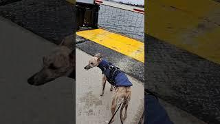 on a boat