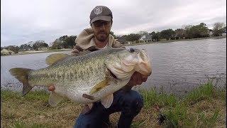 TOP 3 HUGE LARGEMOUTH BASS CAUGHT ON CAMERA! (compilation)