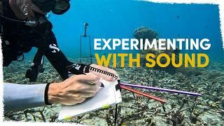 How sound can help our Coral restoration | VLOG