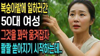 50대 여성 복숭아밭에 일하러 갔다가 생각지 못한 다른게 깊숙히 들어오는데.. ㅣ황혼연애ㅣ노후사연ㅣ재혼ㅣ오디오북 |인생사연