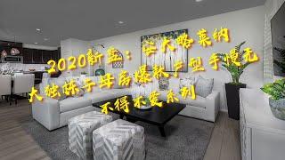 2020新盘之安大略莱纳大独栋子母房爆款户型Next Gen值得拥有