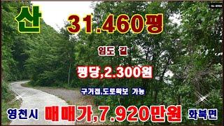 물번,626번) 싼 임야34.460평 평당,2.300원 상단에 임도 길 구거접, 매매가,7.920만원 입니다 농림지역,보전산지,임업용산지이며 차량통행이 본 임야 상단 부분 관통~