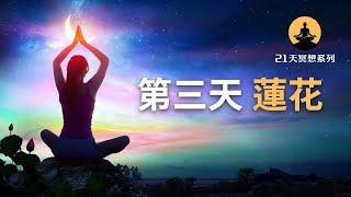 【21天冥想系列】蓮花｜冥想引導教程，學習靜觀冥想穩定情緒（吸引力法則冥想練習）