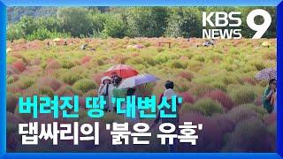 버려진 땅을 관광지로…연천 댑싸리공원의 기적 [9시 뉴스] / KBS  2024.10.07.