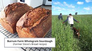 Burrum Farm Wholegrain Sourdough Bread (wheat, spelt & rye) and some highlights of my trip!