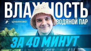 Всё про влажность и водяной пар за 40 минут для ЕГЭ 2025 по физике