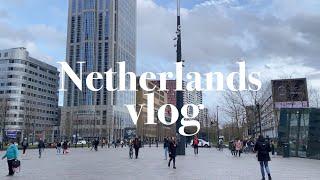 네덜란드 일상 vlog | 3월은 흐린날의 연속이였지만 괜찮아, 벚꽃이 피기 시작했어요, 집밥 기록, 화장실 대공사