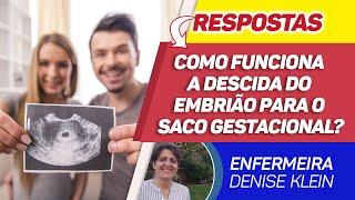 Como funciona a descida do embrião para o Saco Gestacional?