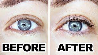 Step by Step - Lash Lift Treatment/ Eyelash Perm