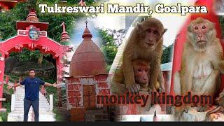 Tukreswari Mandir Monkey Kingdom || Tukreswari Timple || Gowalpara Assam || BG Assam