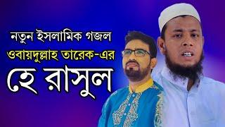 হে রাসুল | নতুন বাংলা ইসলামিক গজল | Kazi Mizan Bin Farid Natore New Bangla islamic gojol