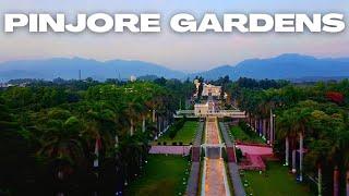 Pinjore Gardens is Heaven at Night || Yadavindra Gardens Pinjore Drone View