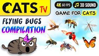 CAT TV - Bugs ULTIMATE Compilation 🪰 Game for cats  Multi background  🪳