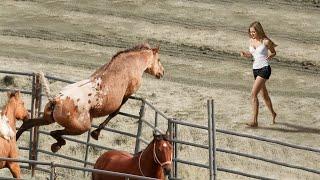 CES ANIMAUX ONT RETROUVÉ LEURS PROPRIÉTAIRES APRÈS DES ANNÉES