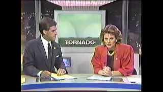 Tornado at Welch Twp & Hastings MN in 1987