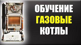 Обучение газовых котлов... | ...Газовый котел обучение... | Обучение ремонту газовых котлов !!!