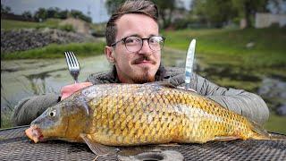 Is This Fish Edible? Carp Catch and Cook