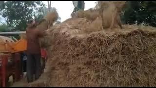 #Guru #Hindustan #Paddy #Thresher.