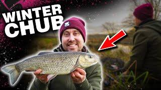 Catch Chub During The Winter Months! Rich Wilby Live Session