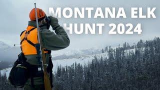 Montana Elk Hunt 2024