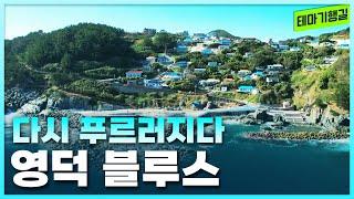 파란 향기가 가득 묻어나는 블루시티 ‘영덕’ 여행 [테마기행길]