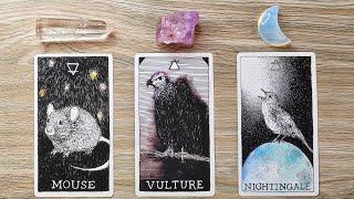 YOU ARE MEANT TO RECEIVE THIS GIFT FROM THE UNIVERSE!  Pick A Card  Timeless Tarot Reading